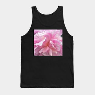 Passionate Pink Carnation Flower Petals Tank Top